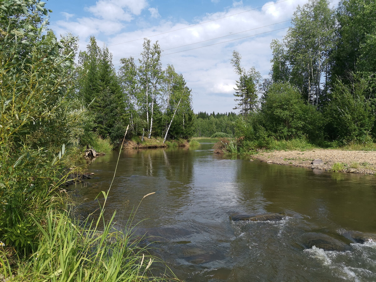 Небольшое озерко заросло