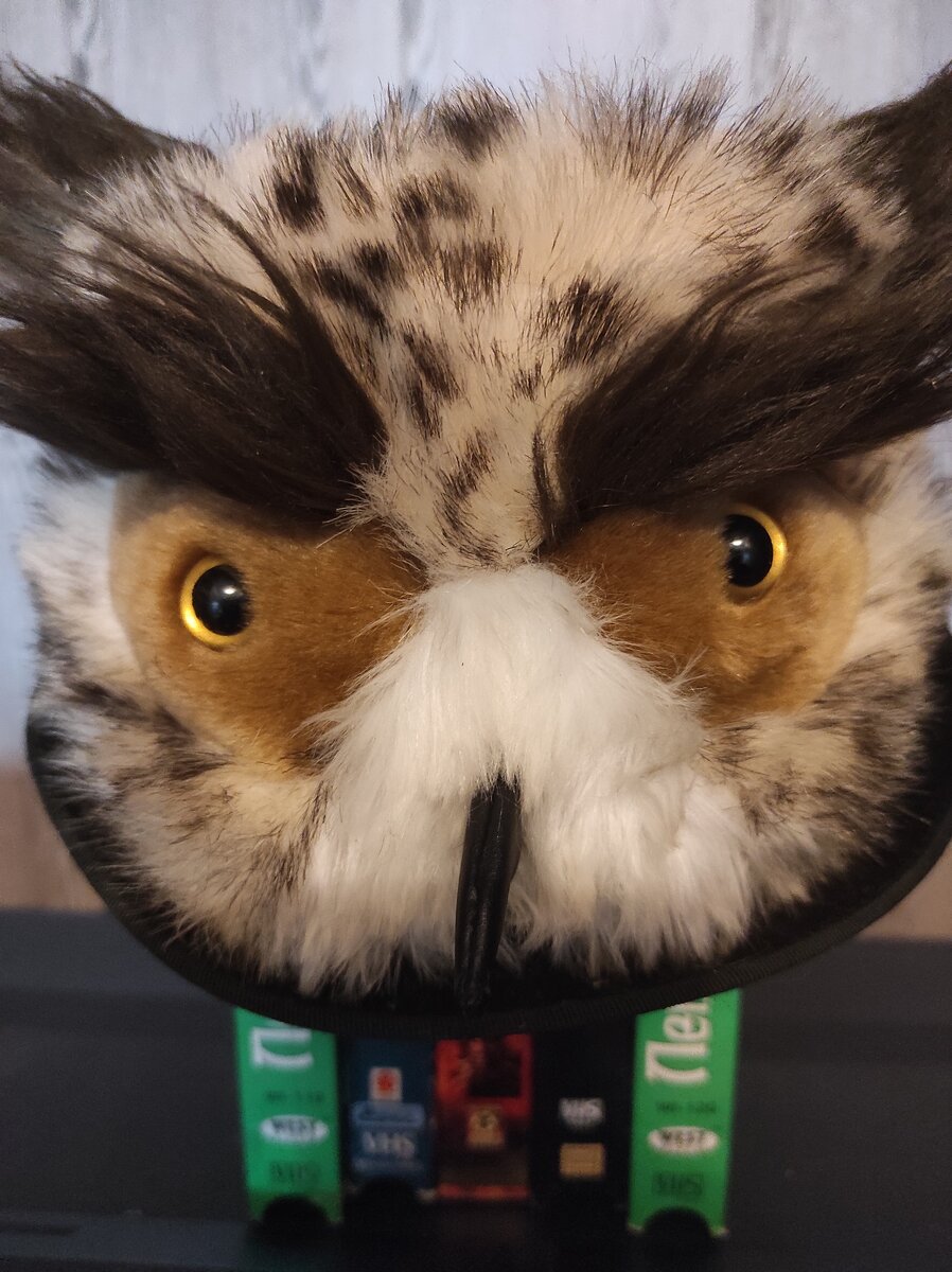 КинООфилин бдительно следит за новинками, но держит в голове классику.