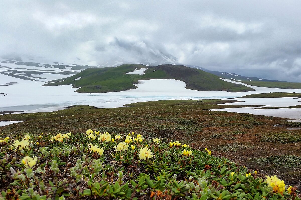 @best_land_foto
фотограф Ксения Сасс