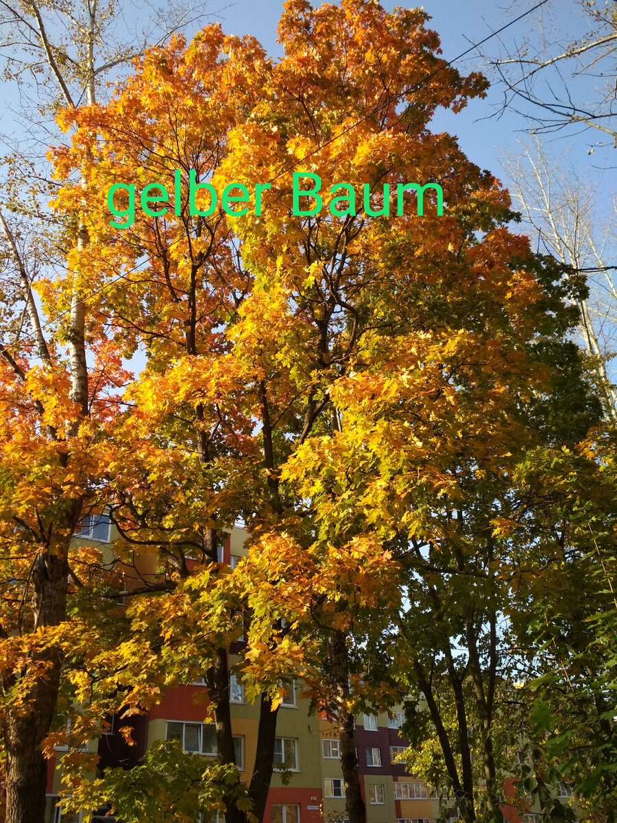 Фото автора.