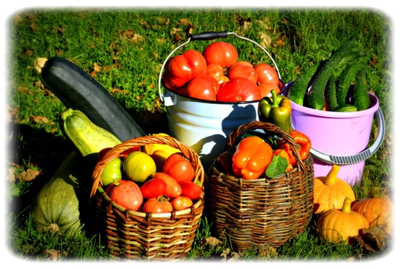 Фото из открытого источника