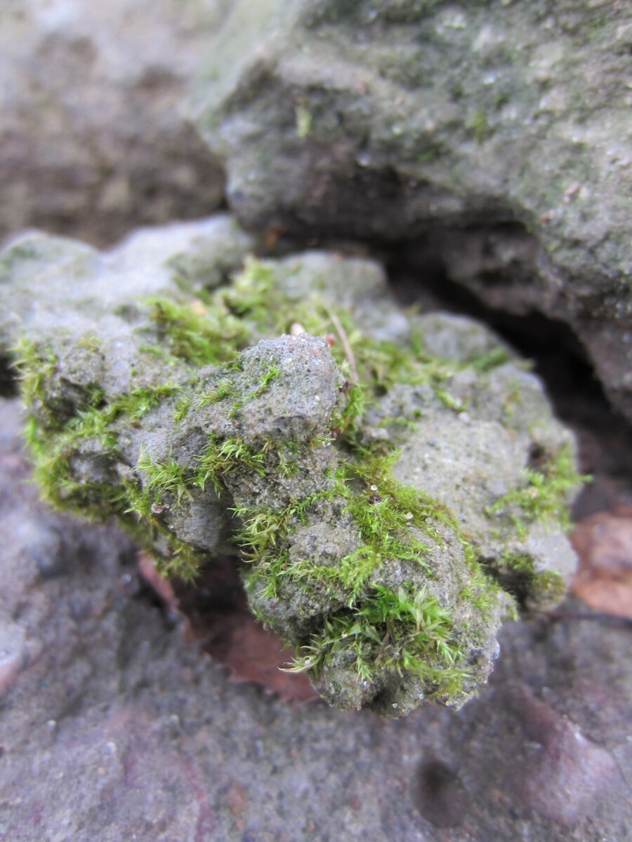 На остатках стройматериалов (цемент)