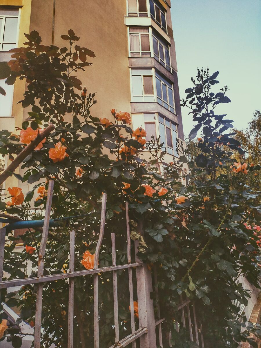 личное фото автора