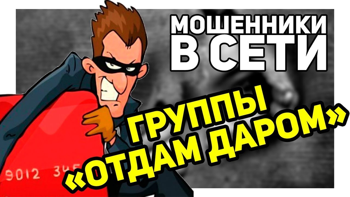 Как разводят в группах в контакте “Отдам даром” – мой эксперимент | За  победу! | Дзен