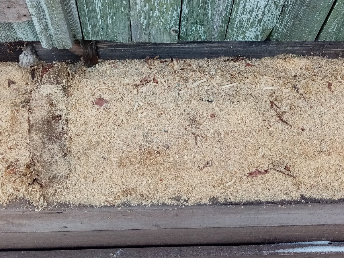 Вроде бы полная. Фото автора. 