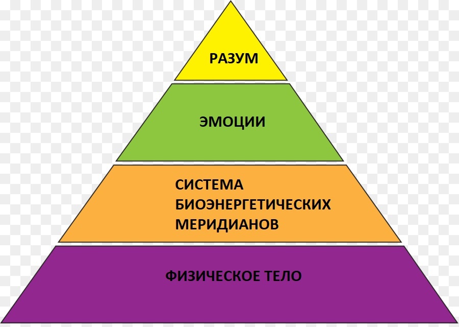 Организм человека в виде пирамиды по мнению йогов. 