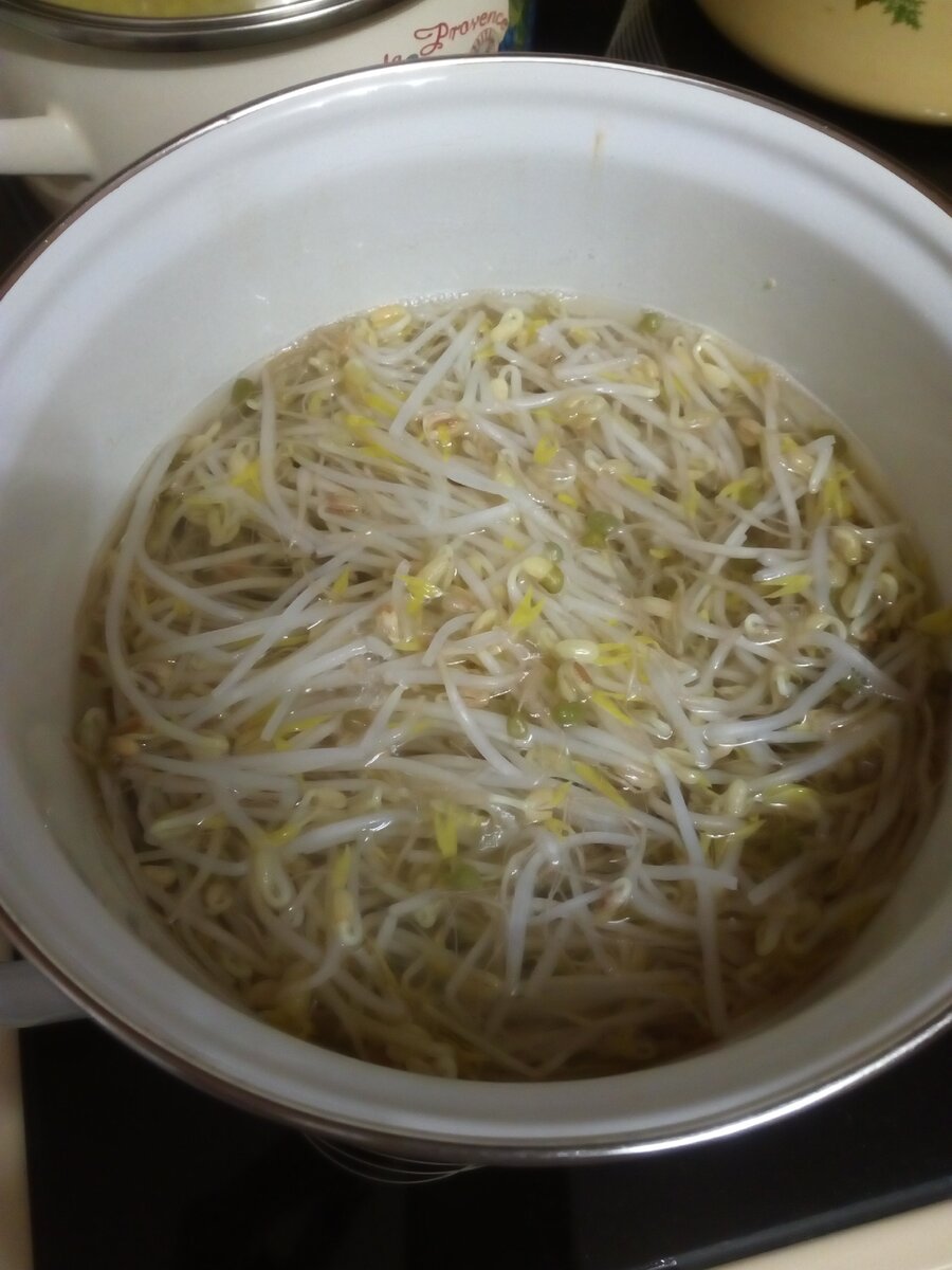 Ставим ростки сои вариться. Вот такие светлые и красивые ростки должны быть