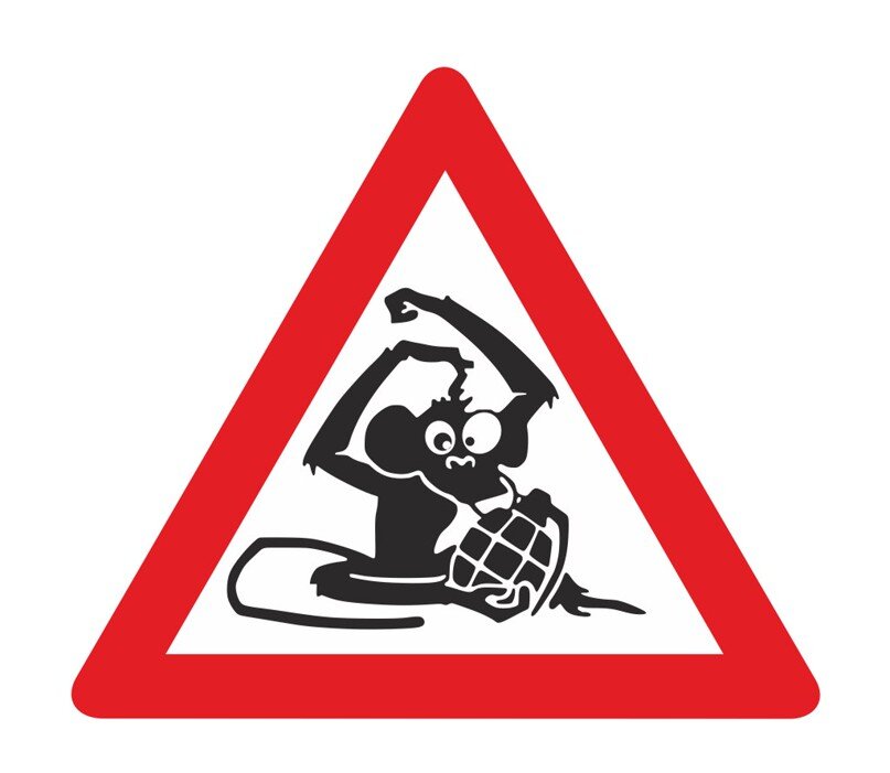 Никто из тебя дурака не делает. Это полностью твоя инициатива.