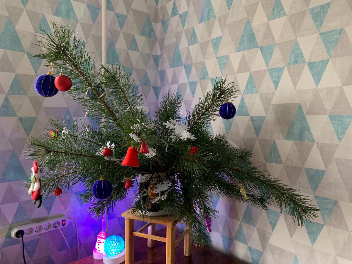 вот такая получилась. Большущая!