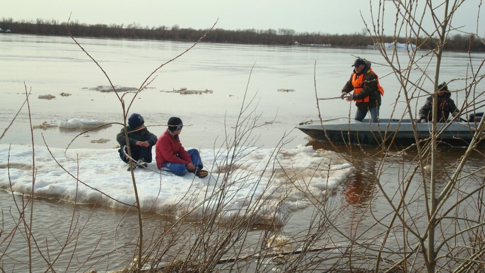 Яндекс картинка. 