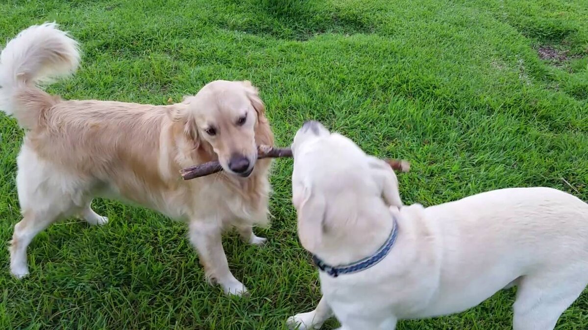 Фото из открытого доступа