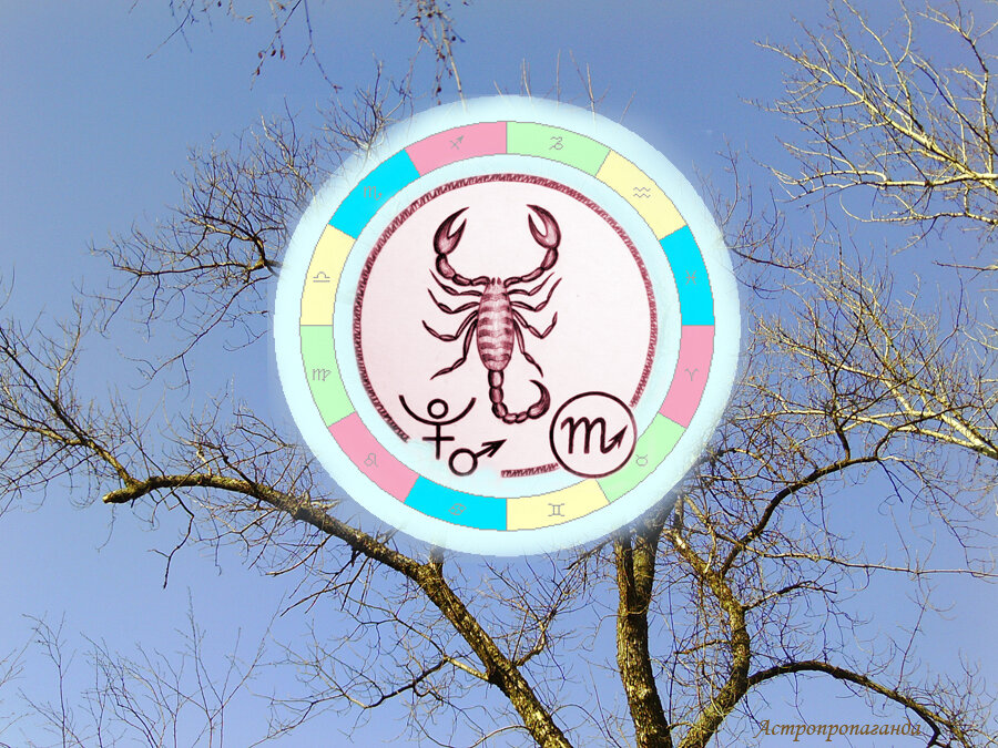 Коллаж Нины Стрелковой.