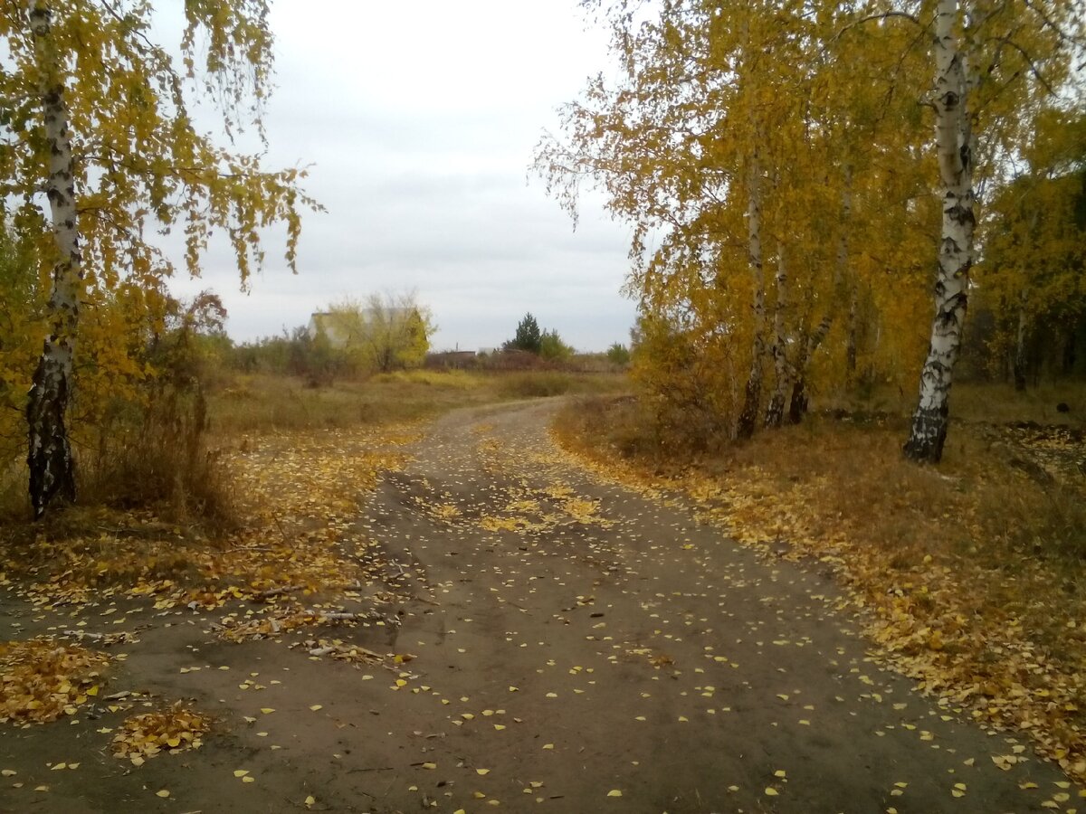 Бег по пересечённой местности.