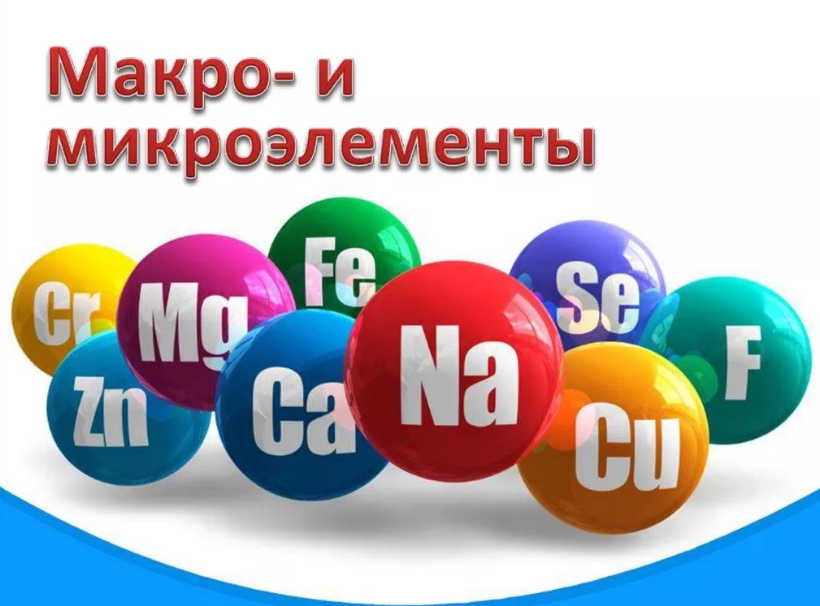 Микроэлементы и микроэлементы картинки