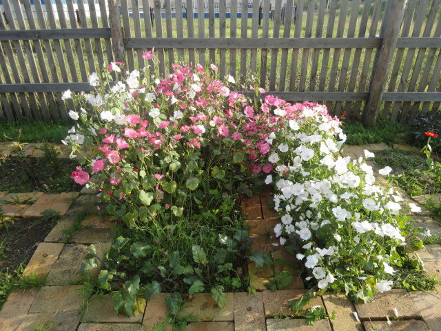 клумбы из б/у кирпича