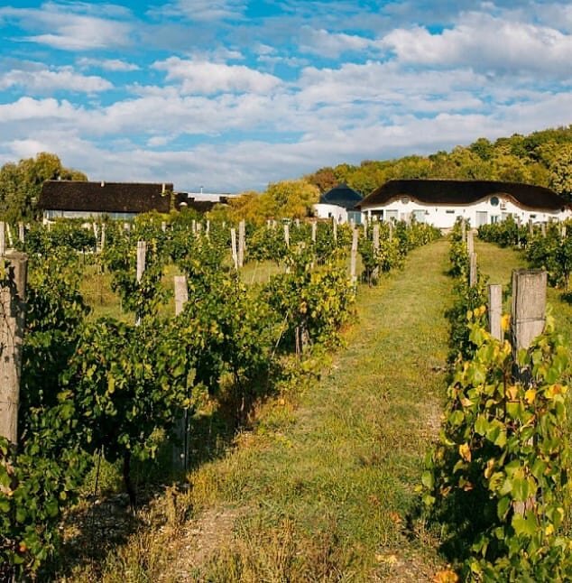 Винодельня и фермерское хозяйство Семигорье