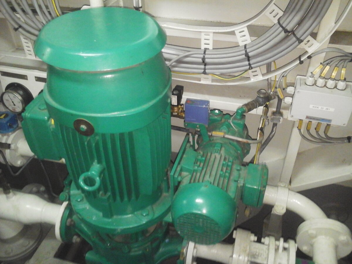 Фото автора из личного архива.