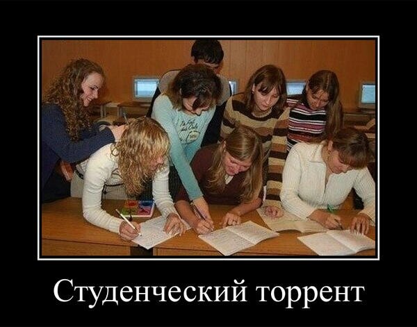Фото из открытого доступа.