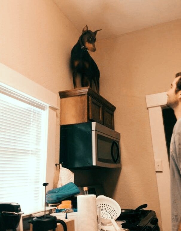 А тут вообще очень удобно