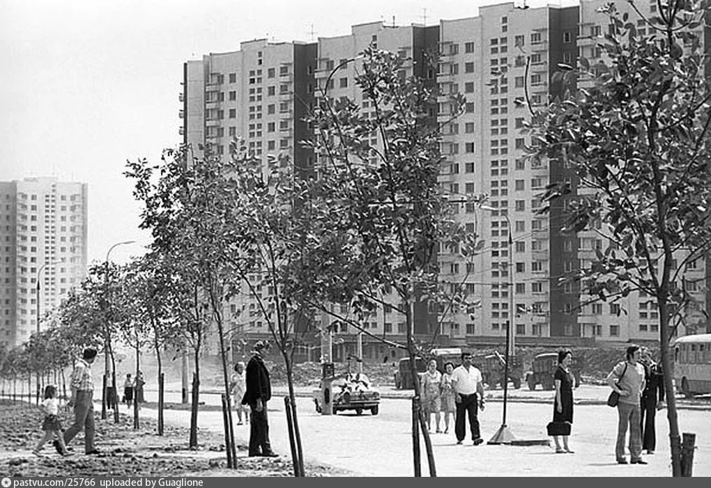 Ясенево беляево. Ясенево 80-е. Ясенево в 1976 году. Ясенево 1986. Ясенево 1960.