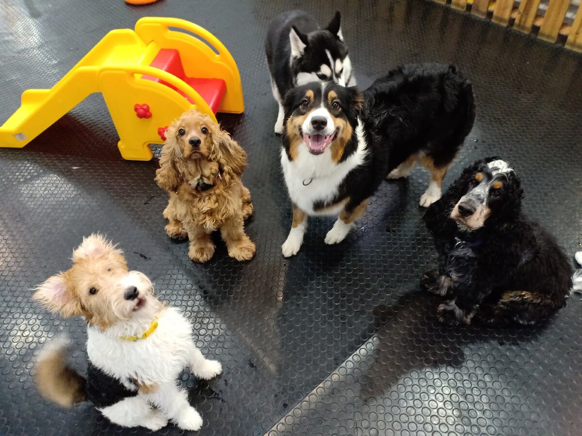 Воспитанники нашего "детского сада"