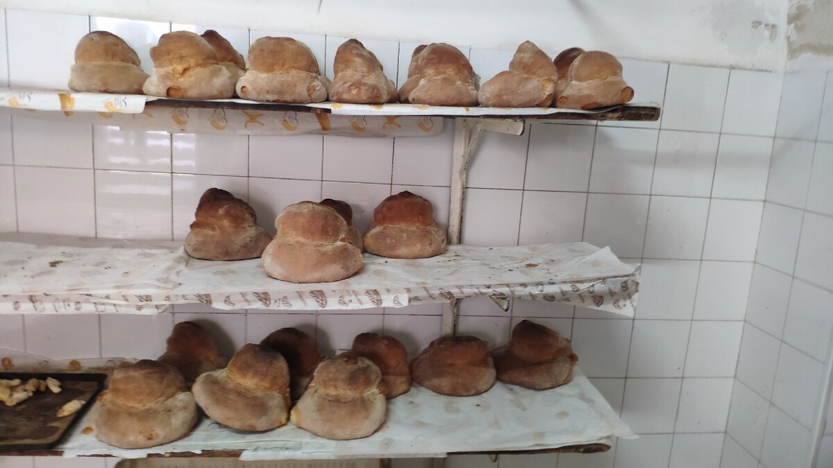 Знаменитый на весь мир хлеб из Альтамуры