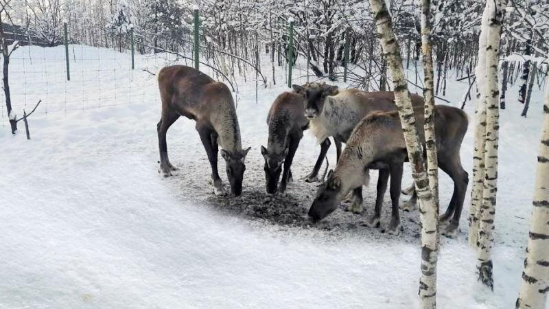 Фото: Aviation Business News