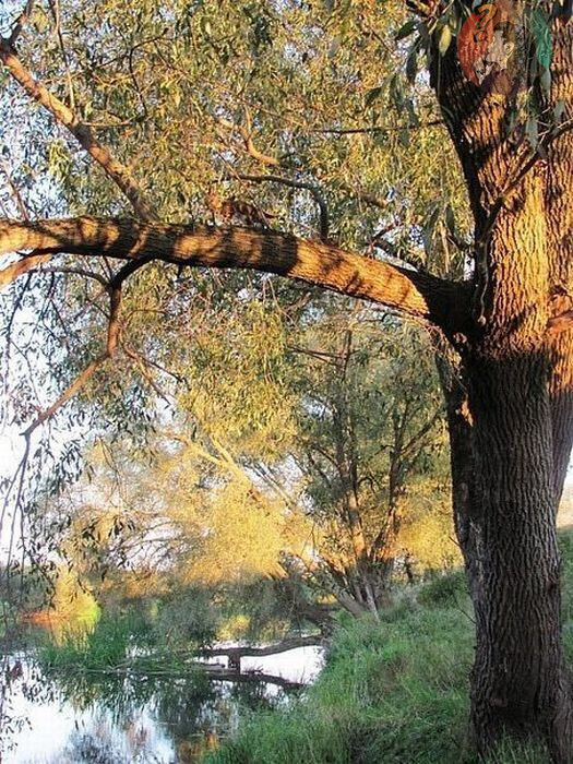 Листай вправо, -там ответ!