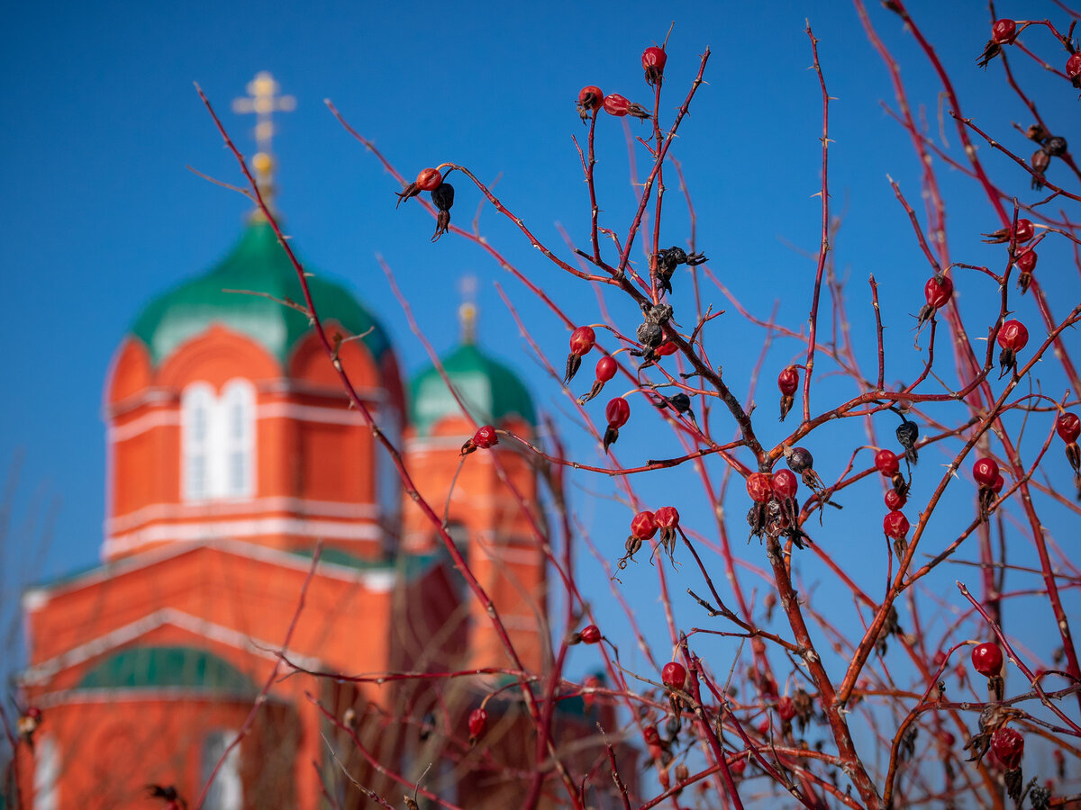 Фото Романа Солопова