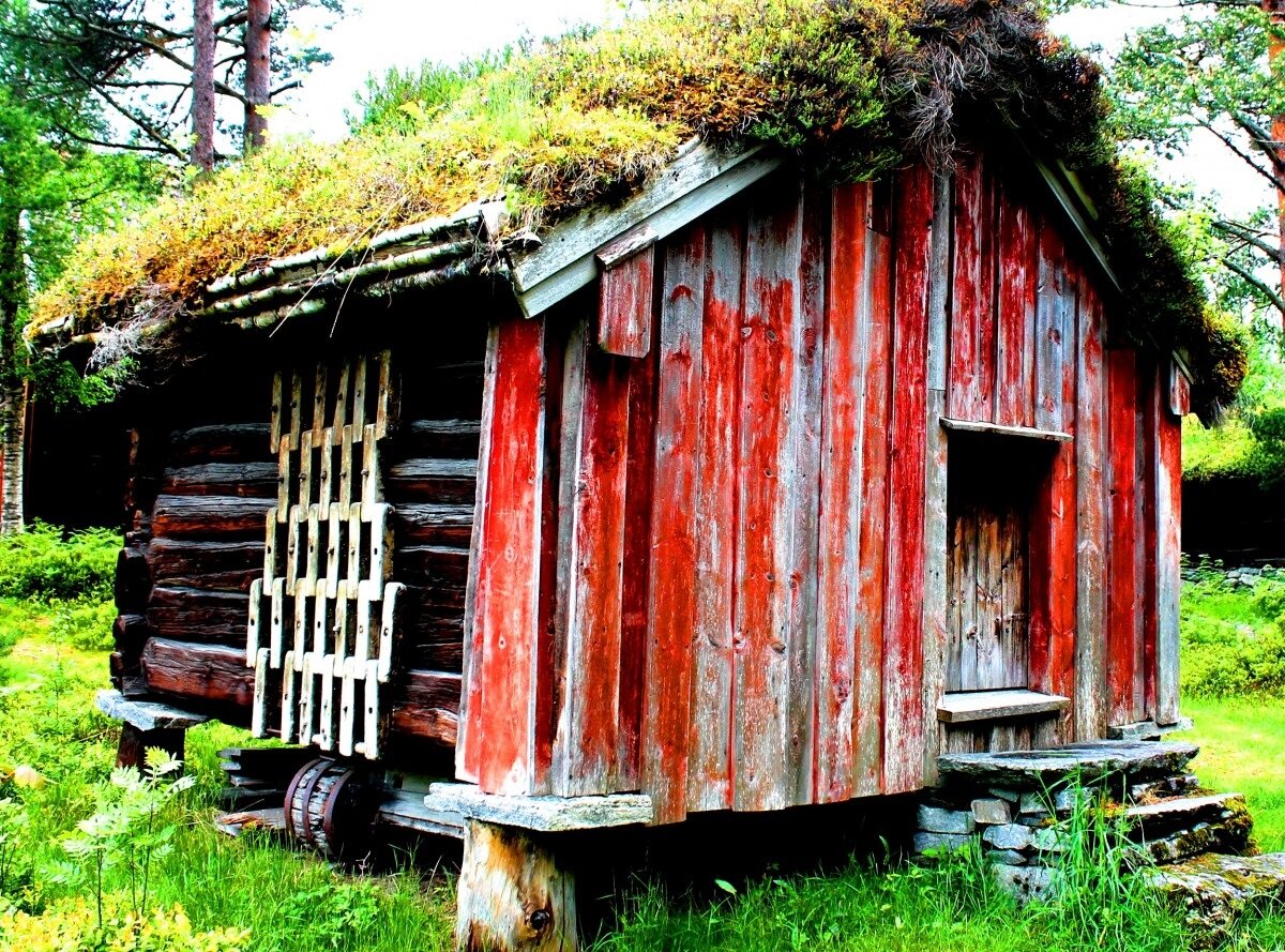 Нужно ли регистрировать хозяйственные постройки | Деревяшки | Дзен