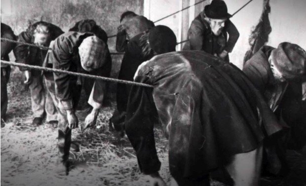 Веревочная ночлежка в Лондоне. Фото: общественное достояние.