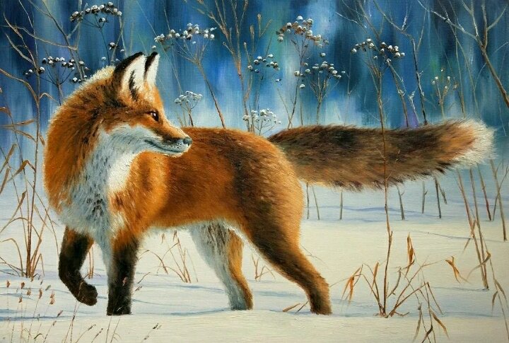 Яндекс.Картинки