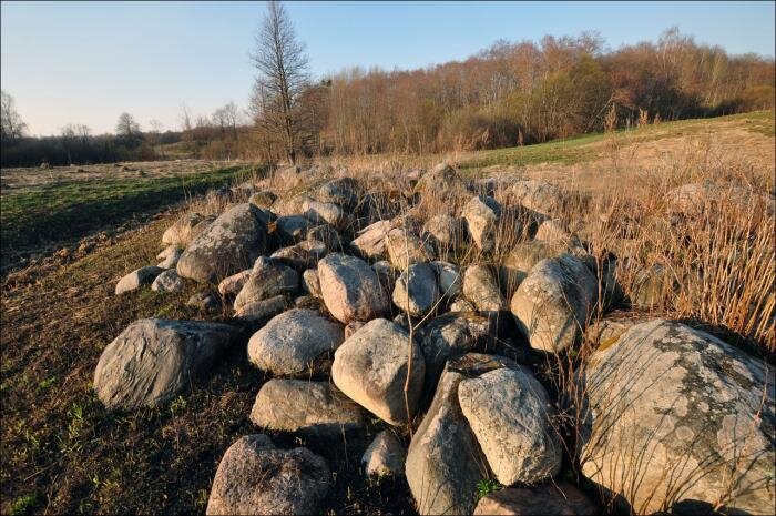 камни на краю поля.