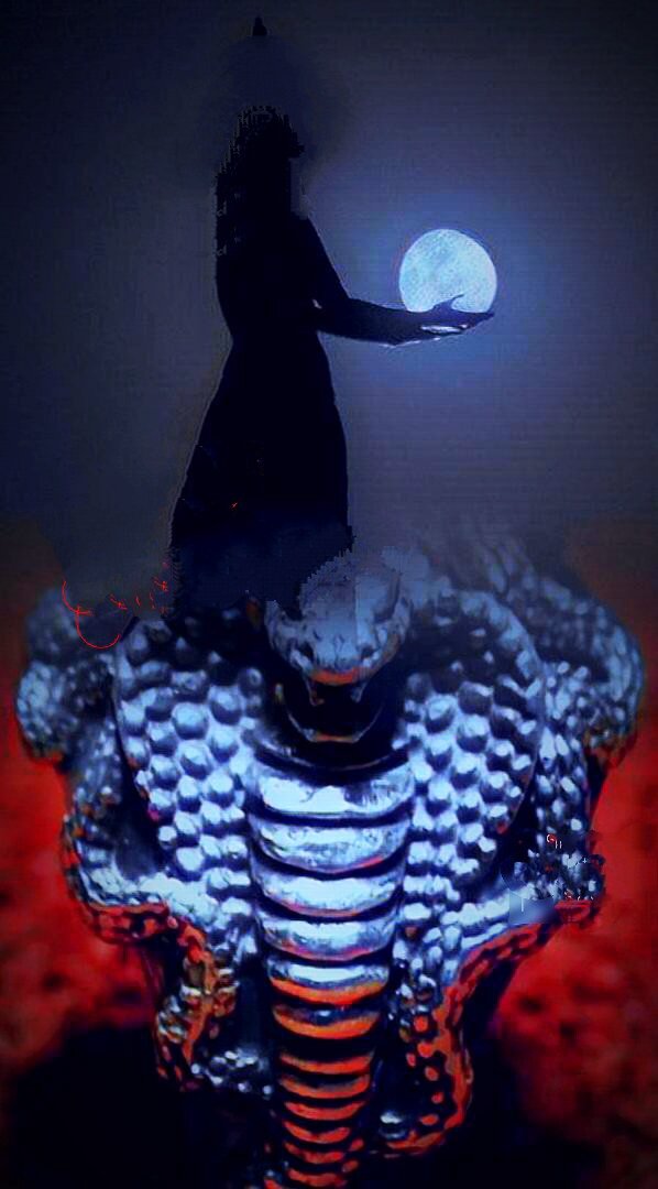 Фотоколлаж автора статьи