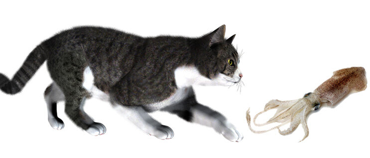 «Омар», режиссер Хани Абу-Ассад. 