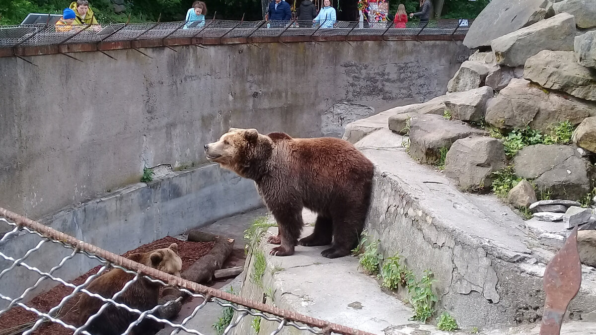 Например зоопарк