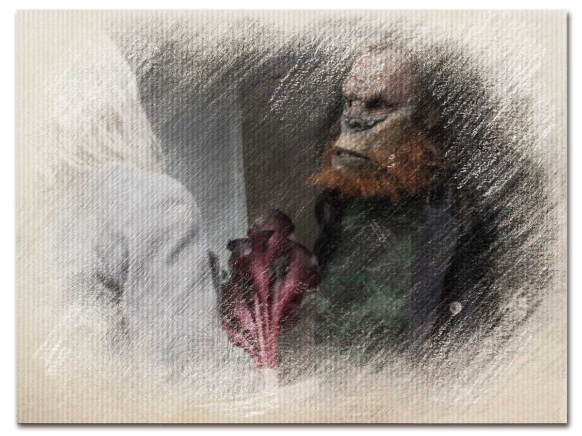 Сенсоты (Sensoths). Телевизионный сериал «Вы́зов» или  «Непокорная Земля» ("Defiance"). 2013-2015гг. Syfy Universal.  Trion.Universal Television. MMORPG от третьего лица "Defiance 2050".  Trion Worlds.