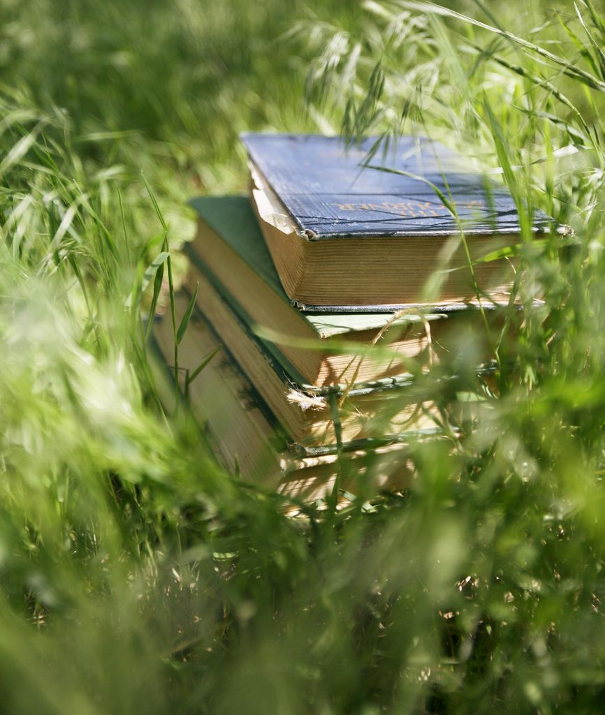 Книжка лето. Лето с книгой. Чтение на природе. Книга летом. Кинга лето.