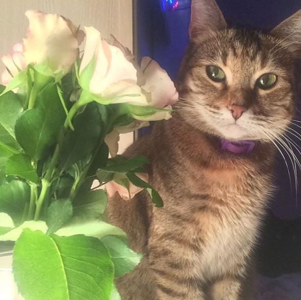 И цветы тоже 