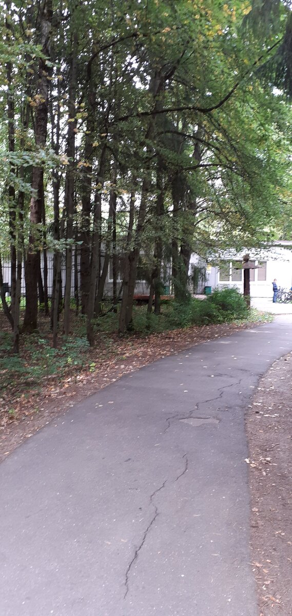 Дом лани. Зеленоград