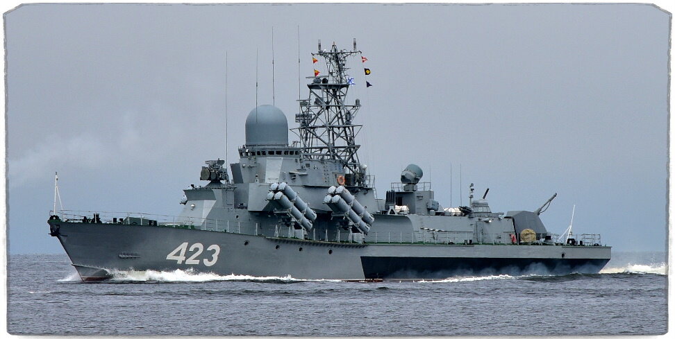 Мрк проекта 1234