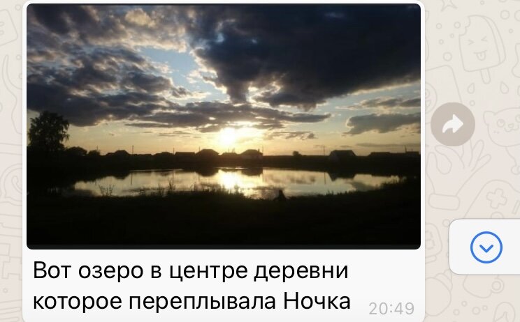 Настя делится историей про свою корову.