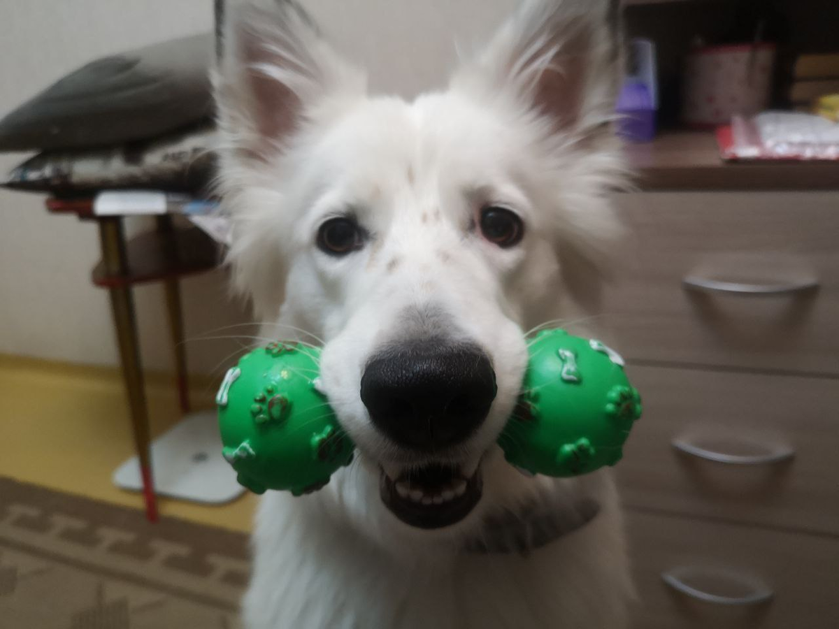 Игрушку отдавать не очень хотелось