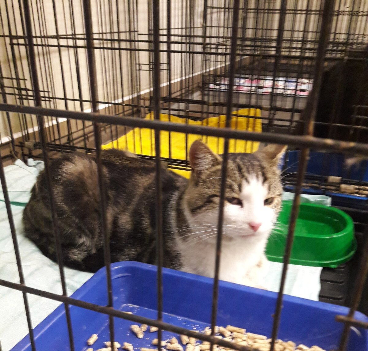 Марку нашлось местечко