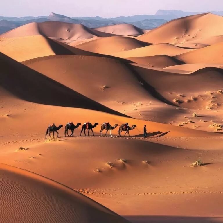 Картины о пустыне