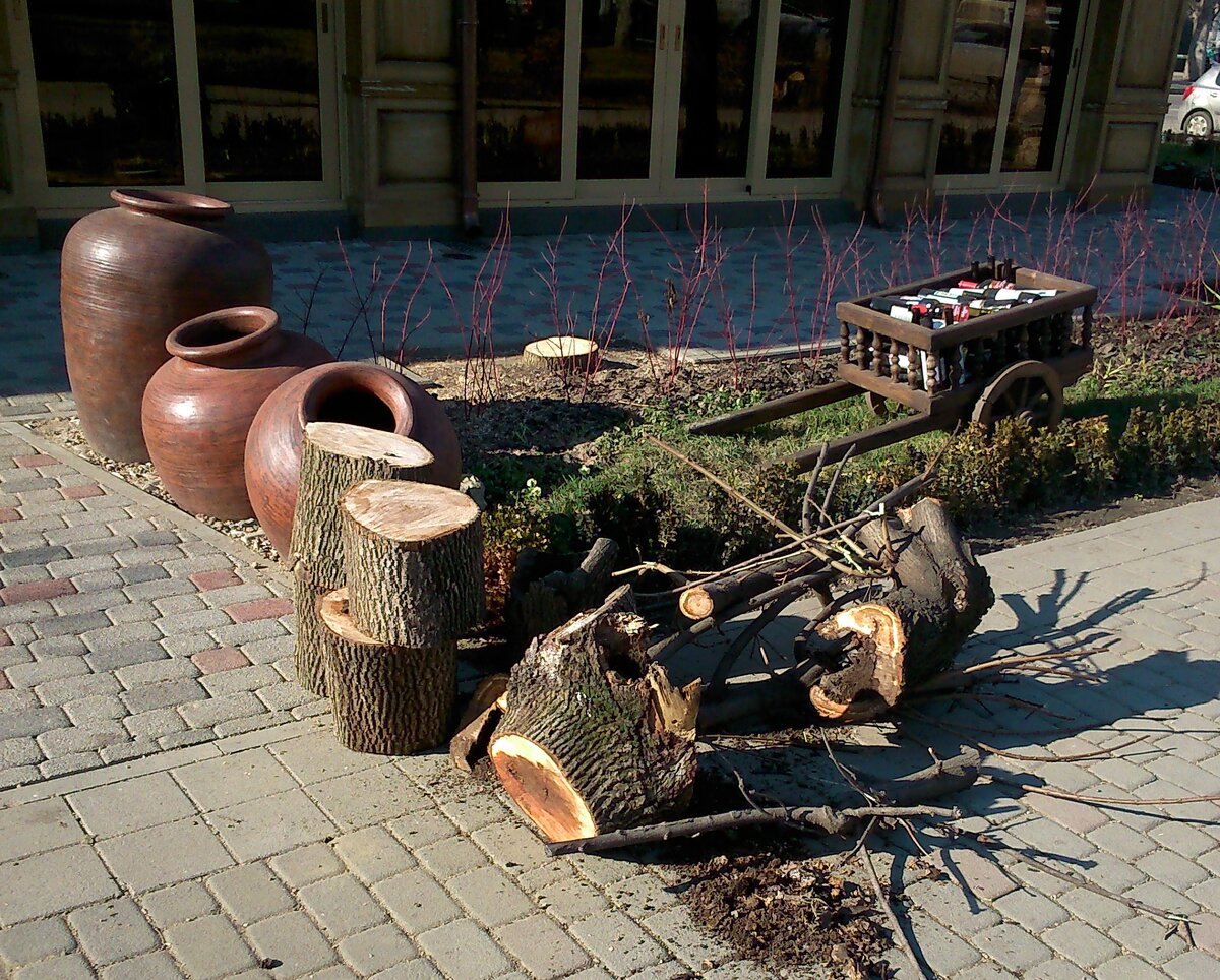 Обрубки тополей забрали для барбекю сотрудники ресторана "Бумбараш". фото автора 