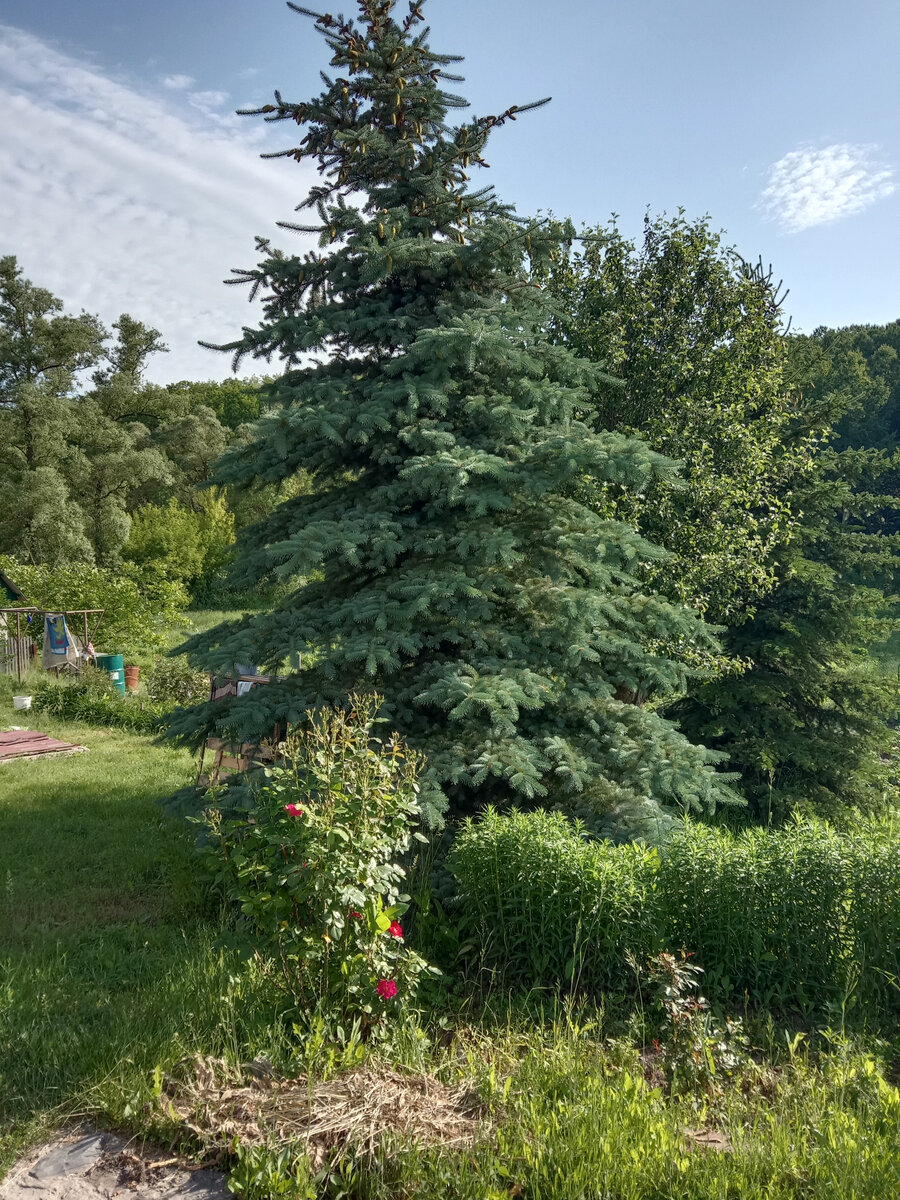 Вот она, красота