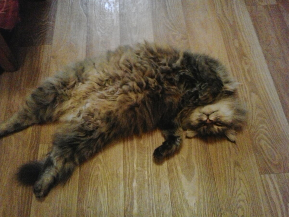 Любимая поза №2