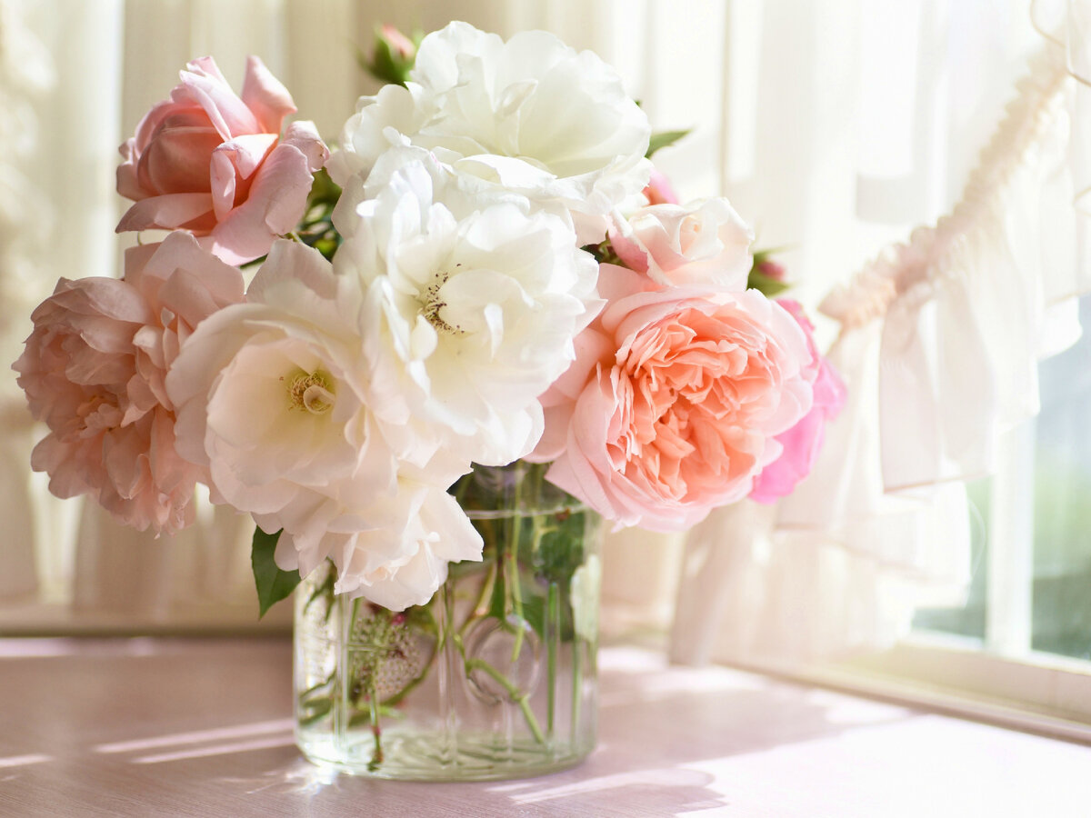 Фото: goodfon.ru