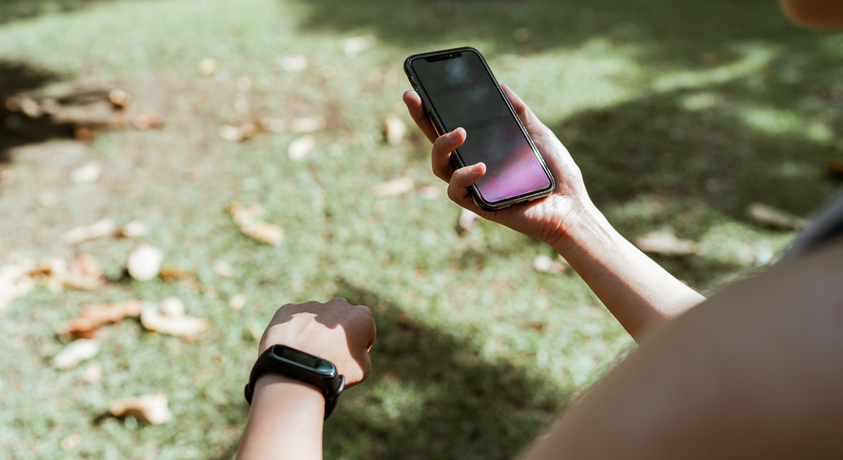 Иллюстрация подготовлена с использованием сервиса и подписки Canva Pro